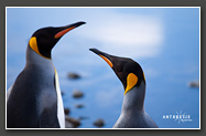 Antarktis, Wallpaper &copy; Andre Schumacher